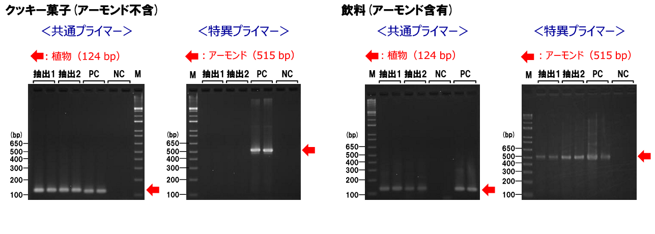 食品中アレルゲン検出用PCRプライマーキット PCRデータ