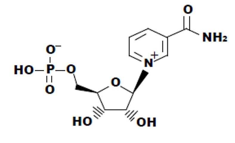 ニコチン アミド モノ ヌクレオチド