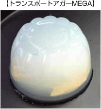 トランスボートアガーMEGA