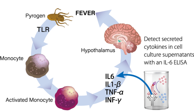 pyrogen