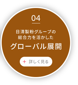 日清製粉グループの総合力を活かした　グローバル展開