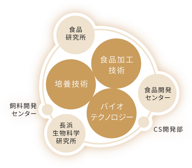 酵母を原点とした高い技術力