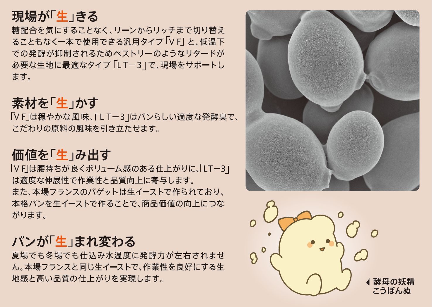 生イーストの特長