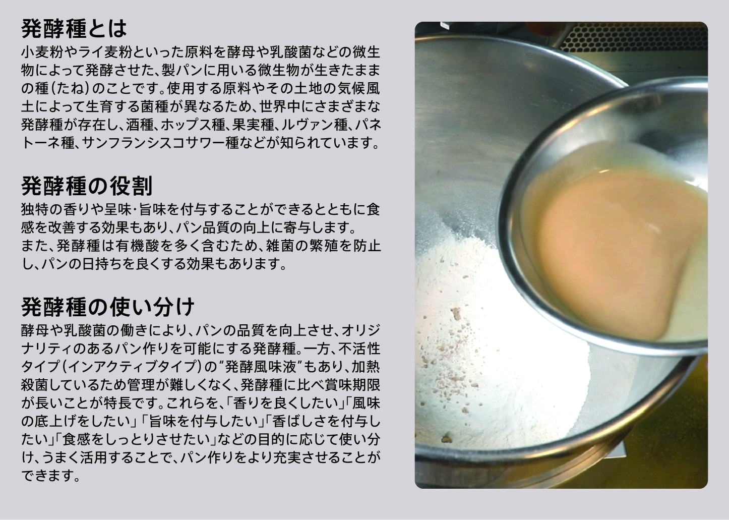 発酵種とは