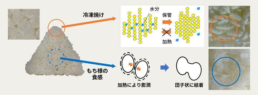 冷凍おにぎりの課題