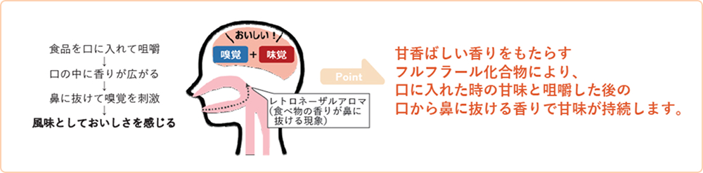 香りによるおいしさのメカニズム