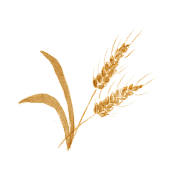 1970年代には血糖値に関連した研究をスタート